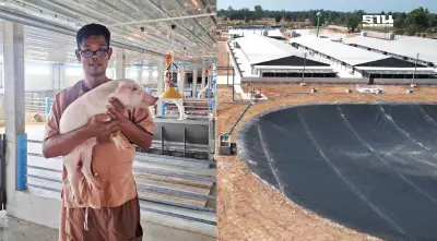 “ซีพีเอฟ” หนุนสมาร์ทฟาร์ม “หมู” สร้างเกษตรกรยุคใหม่ สู่เกษตรเทคโนโลยี