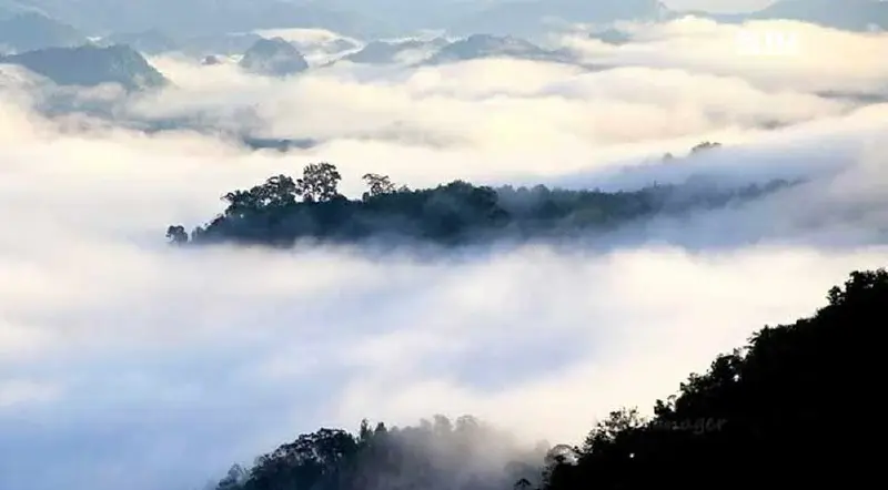 สภาพอากาศวันนี้ -12 ม.ค.ไทยตอนบนอากาศเย็นถึงหนาว ลมแรง หมอกบางยามเช้า