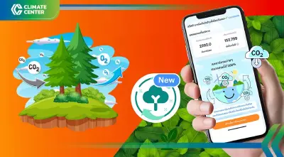 เปิดซื้อคาร์บอนเครดิตผ่านแอปทรูมันนี่ 1 เดือน เทียบเท่ากับปลูกไม้แสนต้น