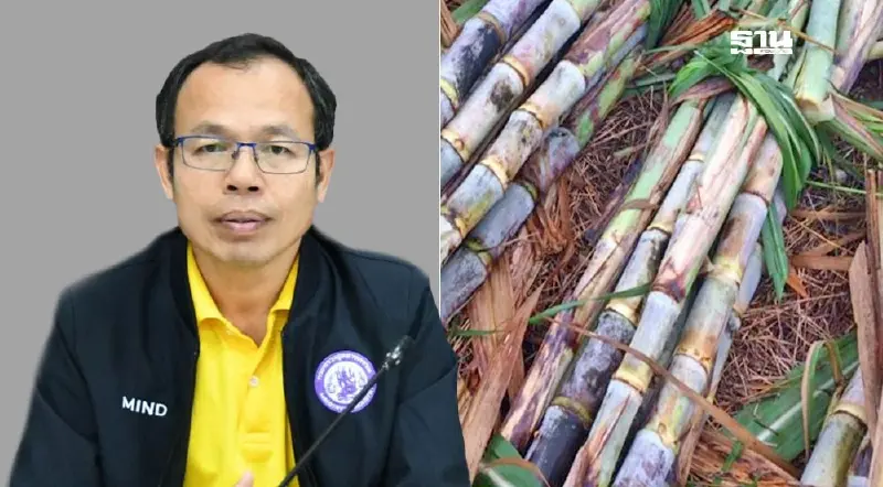 สั่งโรงงานน้ำตาลห้ามรับอ้อยเผาไฟเข้าหีบหลังปีใหม่ถึงวันเด็ก มุ่งลด PM2.5