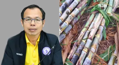 สั่งโรงงานน้ำตาลห้ามรับอ้อยเผาไฟเข้าหีบหลังปีใหม่ถึงวันเด็ก มุ่งลด PM2.5