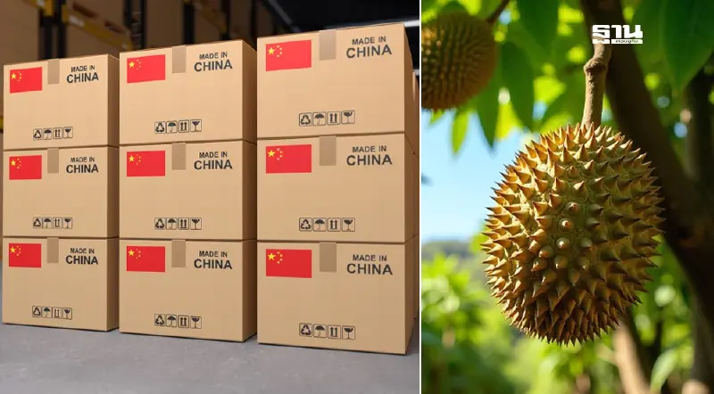 24 ห้องแล็ปฟัดเดือด! ชิงเค้กตรวจสารปนเปื้อน “ทุเรียน”ส่งจีน