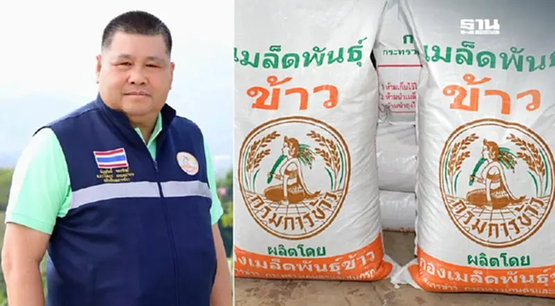 “กรมการข้าว” คิกออฟ โครงการเปลี่ยนเมล็ดพันธุ์ข้าว ราคาถูก กิโลกรัม ละ 3-5 บาท “กรมการข้าว” คิกออฟ โครงการเปลี่ยนเมล็ดพันธุ์ข้าว ราคาถูก กิโลกรัม ละ 3-5 บาท