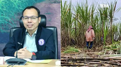สั่ง "มิตรผล-ไทยรุ่งเรือง" กำชับโรงงานน้ำตาลในเครืองดรับอ้อยถูกเผา