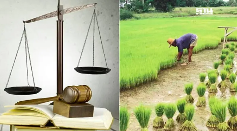 หนุนเกษตรกร ช่วย SME ปรับลด – ปลดล็อก กฎหมายขึ้นทะเบียนส่งออกข้าว หนุนเกษตรกร ช่วย SME ปรับลด – ปลดล็อก กฎหมายขึ้นทะเบียนส่งออกข้าว