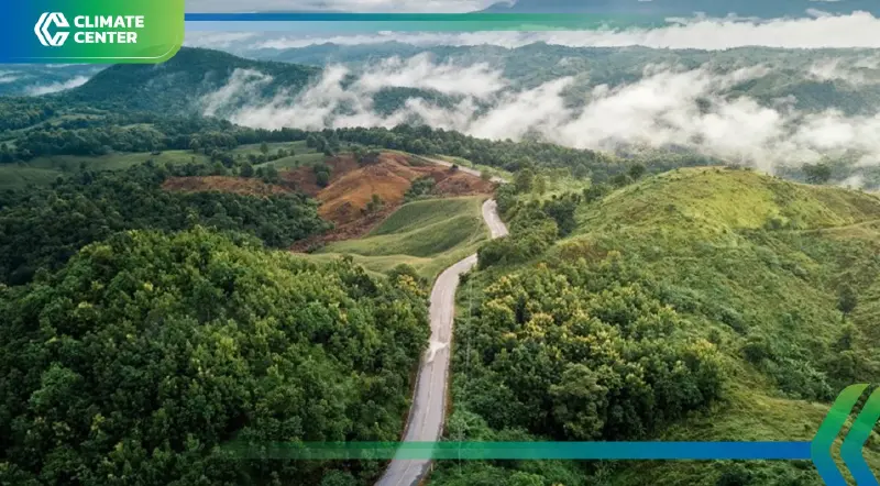 สวีเดน เล็งปั้นจังหวัดแพร่เป็นเมืองไม้ยั่งยืนครบวงจร