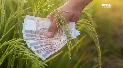 ชาวนาปรัง เฮ “นบข.” ไฟเขียวจ่ายเงินช่วยเหลือไร่ละ 1,000 บาทไม่เกิน 10 ไร่