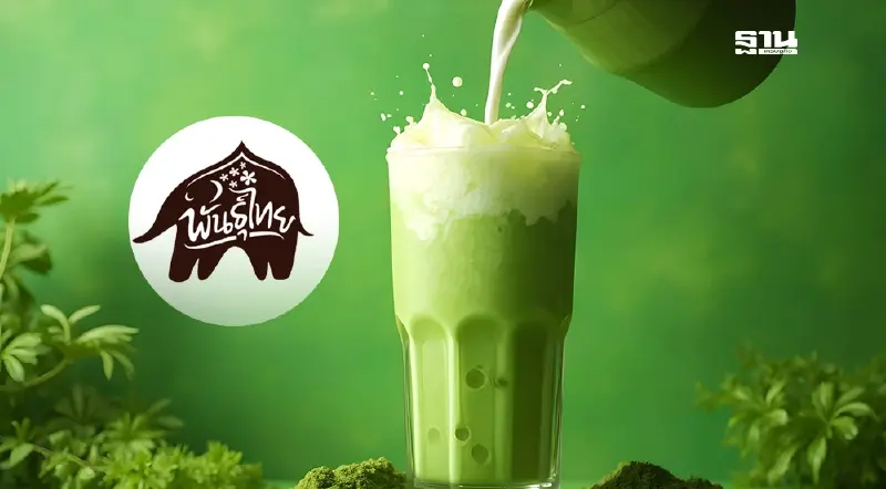 พันธุ์ไทยแจ้งขาดแคลนมัทฉะชั่วคราว กระแสบูม-ซัพพลายไม่พอ!