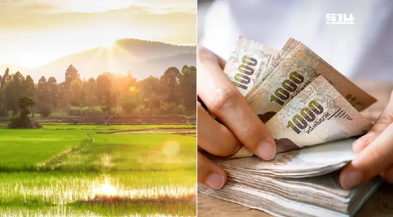 เช็คด่วน “เงินชาวนา ไร่ละ 1,000 บาท”  กลุ่มตกหล่น   ทำไมเงินไม่เข้าบัญชี