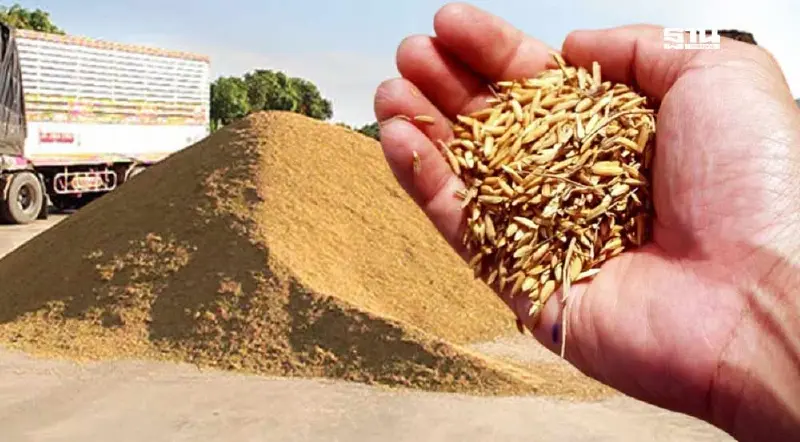 จับตา "พิชัย" ประชุมอนุฯตลาดข้าว ก่อนชง นบข. แก้ปัญหาราคาข้าวตกต่ำ