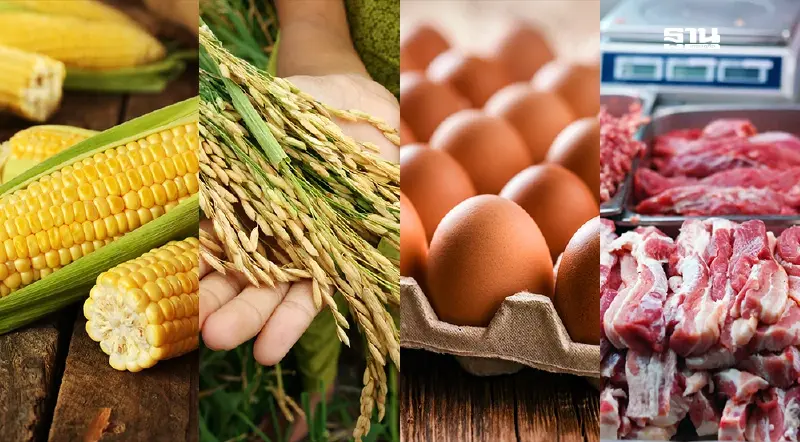 ส่องราคาข้าว-ข้าวโพด-หมู-ไก่เนื้อ-ไข่ไก่ 24-28 ก.พ. ทิศทางเป็นอย่างไร?