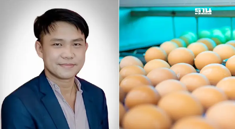 กรมปศุสัตว์  ไฟเขียว “แดลี่เอ้กส์” นำเข้าพ่อแม่พันธุ์ไก่ไข่รายที่ 17