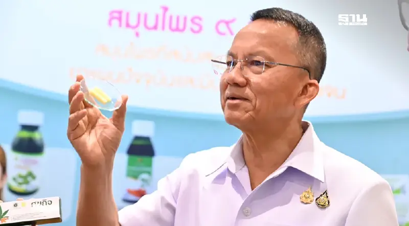 สธ.หนุนใช้สมุนไพรไทย ลดนำเข้ายาจาก ตปท. ตั้งเป้า 3 พันล้านปี 69