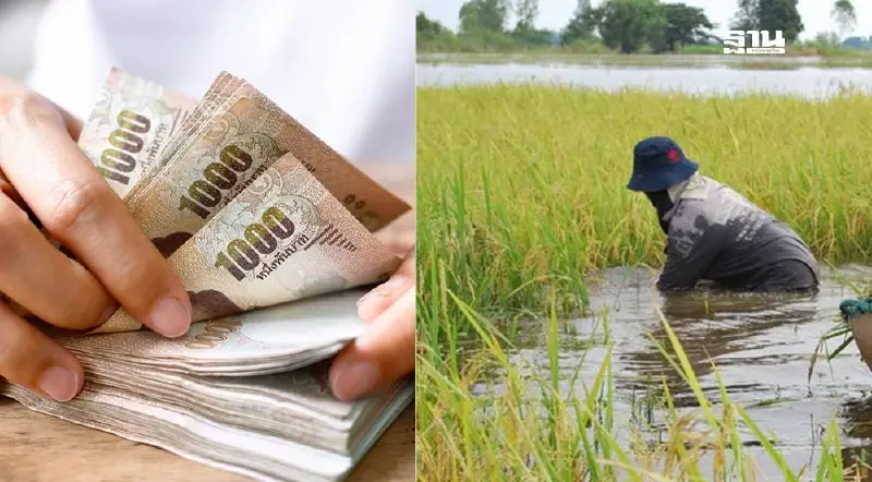 เช็คที่นี่ เกณฑ์เยียวยาเกษตรกร 2568 ประสบน้ำท่วม-ภัยพิบัติ ได้เงินกี่บาท