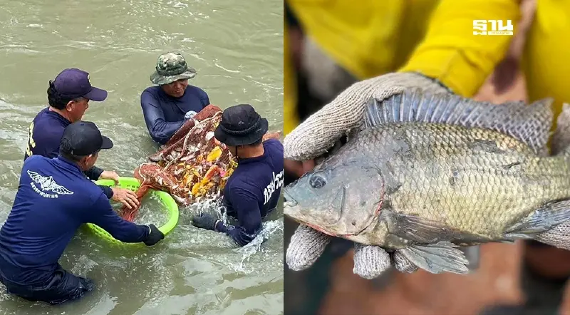 บูรณาการพลัง“รัฐ-ชุมชน-เอกชน”พลิกวิกฤตปลาหมอคางดำสู่จัดการอย่างยั่งยืน