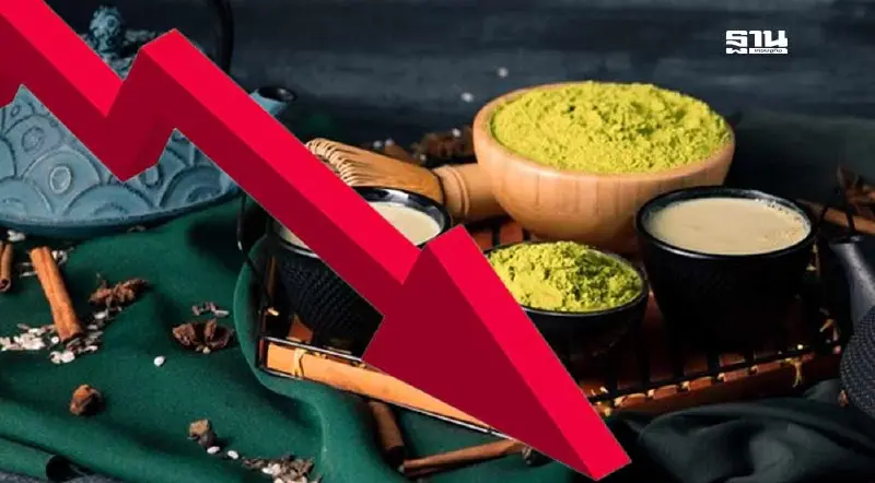 วิกฤติชาเขียวมัทฉะ! ทำไมมัทฉะทั่วโลกขาดตลาด และอนาคตจะเป็นอย่างไร?