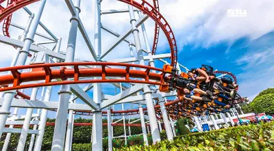 วาเลนไทน์ 2568 สวนสนุกดรีมเวิลด์ จัดโปรเที่ยวยกคู่ตลอดเดือนกุมภาพันธ์นี้