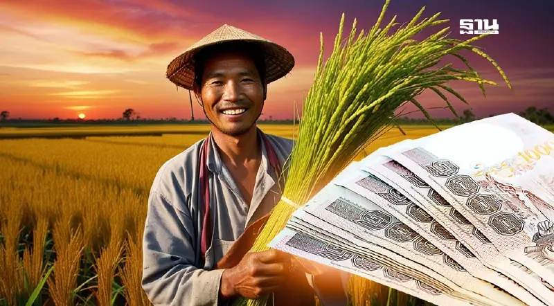 ไร่ละ 1,000 เงินช่วยเหลือชาวนาปลูกข้าวนาปรังล่าสุด ลงทะเบียนด่วน