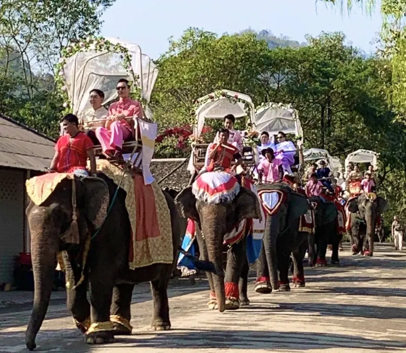 วิวาห์ไร้พรมแดน! เชียงใหม่จัดสมรส LGBTQ+ บนหลังช้าง วิวาห์ไร้พรมแดน! เชียงใหม่จัดสมรส LGBTQ+ บนหลังช้าง