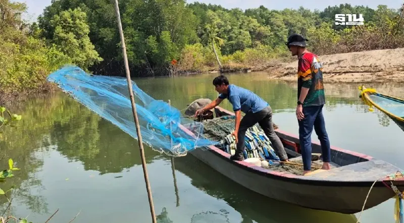 “จังหวัดตราด”ยังคงปลอด"ปลาหมอคางดำ" เฝ้าติดตามสำรวจใกล้ชิด