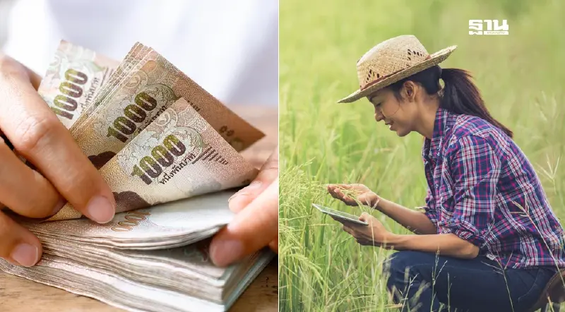 โครงการไร่ละ 1,000 ปี 67 68 ขึ้นทะเบียนเกษตรกรถึงวันไหน