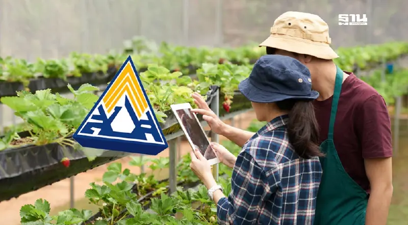 เฮ! แรงงานขยาย 3 กลุ่มอาชีพใหม่ เข้าร่วม "ประกันสังคม" มาตรา 33