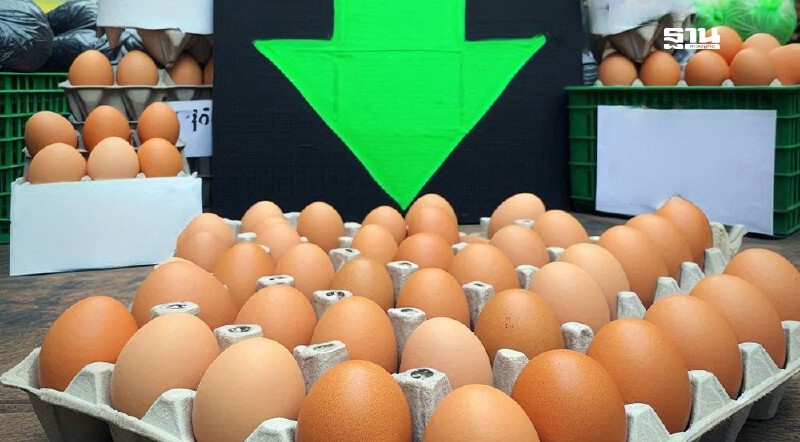 .ด่วน ! วันนี้ (10 ก.พ.68) ราคาไข่ไก่ ปรับลด 20 สตางค์ หรือ 6 บาท/แผง.