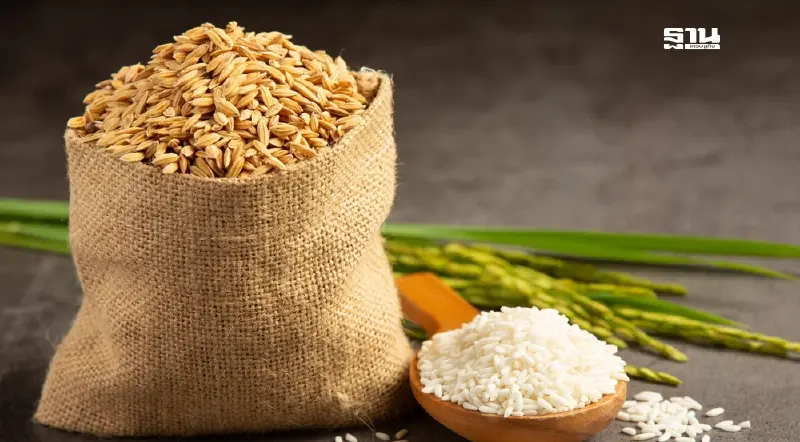 สถานการณ์ข้าว ก.พ.68 น่าห่วง ส่งออกติดลบ 34.3% ทรุดหนักยาว 4 เดือน