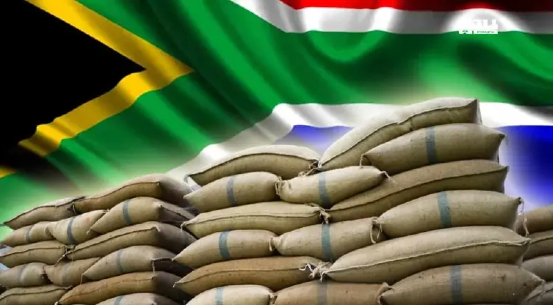 "พาณิชย์" บุก ตลาดแอฟริกาใต้ ปิดดีลส่งออกข้าว  7 พันล้าน