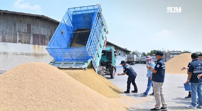 "พาณิชย์" ตรวจเข้มการรับซื้อข้าวนาปรัง เตือนฉวยโอกาสทั้งปรับ-จำคุก
