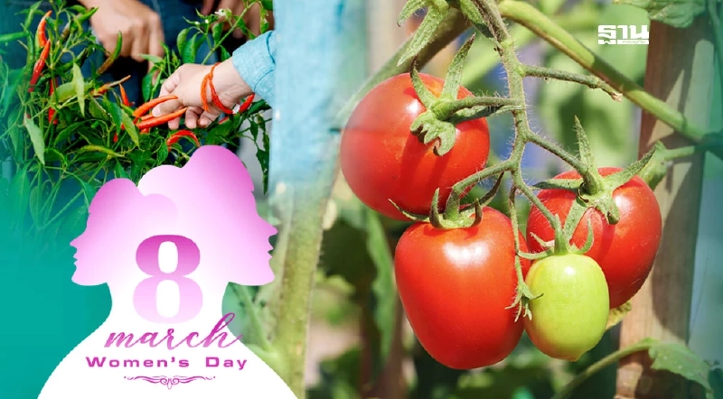 วันสตรีสากล“ซินเจนทา”ร่วมขับเคลื่อนบทบาทผู้หญิงภาคเกษตร สู่อนาคตยั่งยืน วันสตรีสากล“ซินเจนทา”ร่วมขับเคลื่อนบทบาทผู้หญิงภาคเกษตร สู่อนาคตยั่งยืน