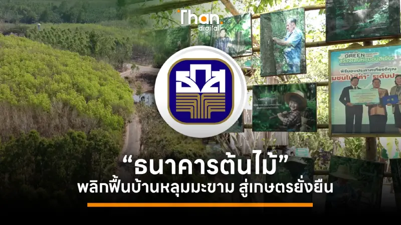 "ธนาคารต้นไม้ ธ.ก.ส." พลิกฟื้นบ้านหลุมมะขาม สู่เกษตรยั่งยืน
