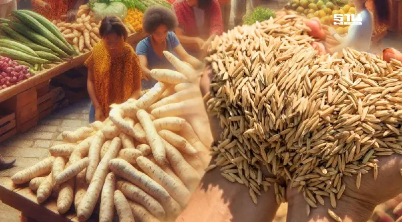 เช็คราคาสินค้าเกษตร ข้าวหอมมะลิ 16,800 บาท/ตัน มันสำปะหลัง ขยับลง เช็คราคาสินค้าเกษตร ข้าวหอมมะลิ 16,800 บาท/ตัน มันสำปะหลัง ขยับลง