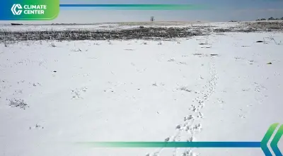 โลกร้อนทำหิมะหาย สกีรีสอร์ทสหรัฐฯ สูญ 5 พันล้านดอลลาร์