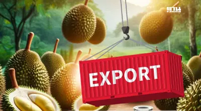 ทุเรียน ครองแชมป์ส่งออกผลไม้ไทย สร้างมูลค่า 1.3 แสนล้าน