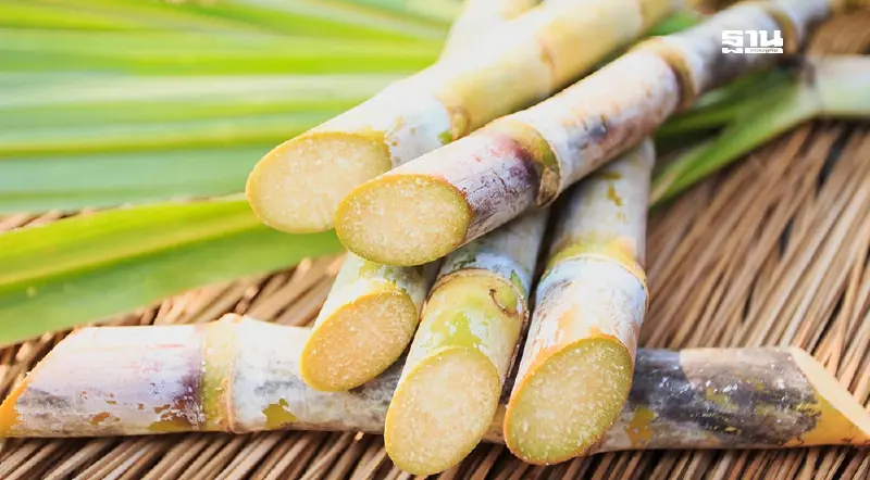 ราคาอ้อยปี 67/68  ครม.อนุมัติ  1,160 บาท/ตัน  ช่วยเหลือเกษตรกร