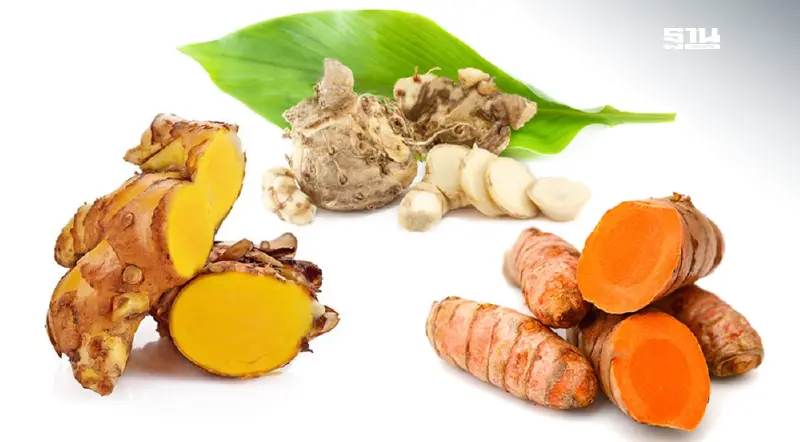 เปิดชื่อ 3 สมุนไพร 7 ท่าบริหารใบหน้า ช่วยชะลอวัย ห่างไกลริ้วรอย