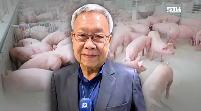 ผู้เลี้ยงหมูเฮ ราคาหน้าฟาร์มพุ่ง ช่วยปลดแอกหลังขาดทุนมา 2 ปี ผู้เลี้ยงหมูเฮ ราคาหน้าฟาร์มพุ่ง ช่วยปลดแอกหลังขาดทุนมา 2 ปี