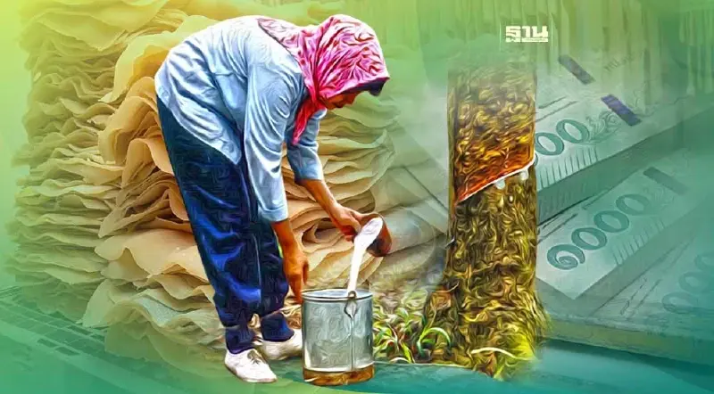 ด่วน สวนยาง 25 ปีขึ้นไป ยื่นขอทุนปลูกแทน กับ กยท. ได้ไร่ละ 16,000 บาท