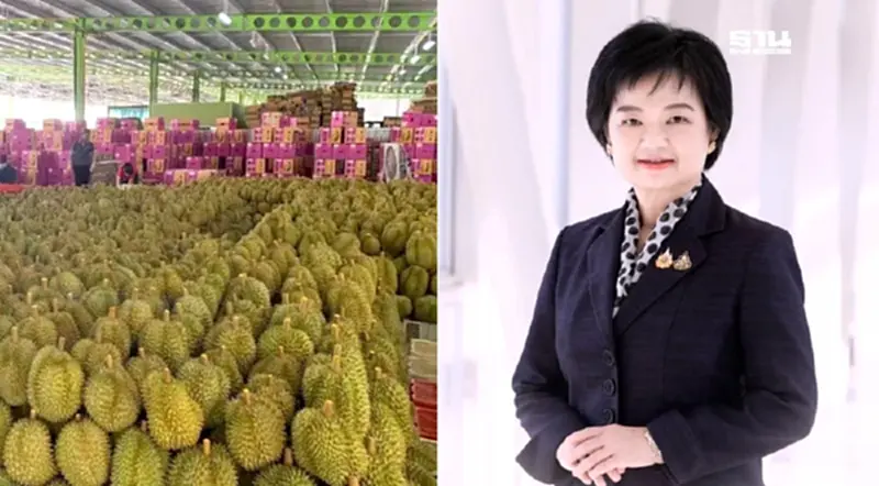 ปั้น “ทุเรียนไทย” ผ่าน 4 กลยุทธ์ เจาะตลาดจีน ปั้น “ทุเรียนไทย” ผ่าน 4 กลยุทธ์ เจาะตลาดจีน