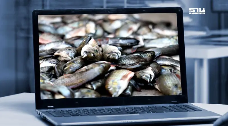 กรณี “ปลาหมอคางดำ” ต้องรอพิสูจน์ความจริง อย่าตัดสินก่อนศาล