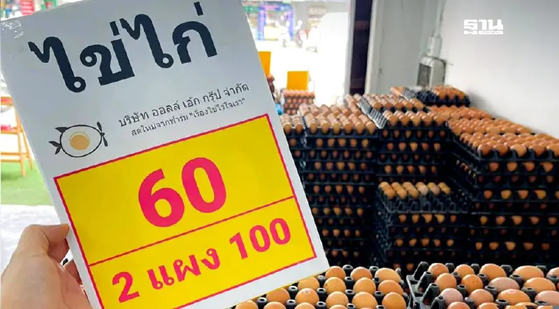 สุดคุ้ม "ออลล์ เอ้ก กรุ๊ป" จัดโปรโมชั่นหน้าร้อน "ไข่ไก่" 2 แผง 100