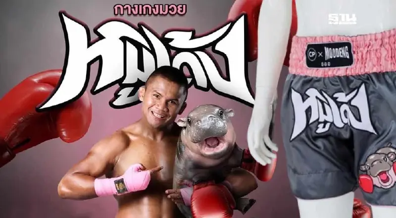 CPF ร่วมมือ บัวขาว เปิดตัว "กางเกงมวยหมูเด้ง" ปลุก Soft Power ไทย