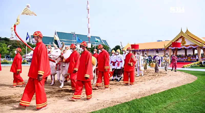 ดูถ่ายทอดสดพระราชพิธีพืชมงคล ปี 2568 ช่องทางไหนได้บ้าง ดูถ่ายทอดสดพระราชพิธีพืชมงคล ปี 2568 ช่องทางไหนได้บ้าง