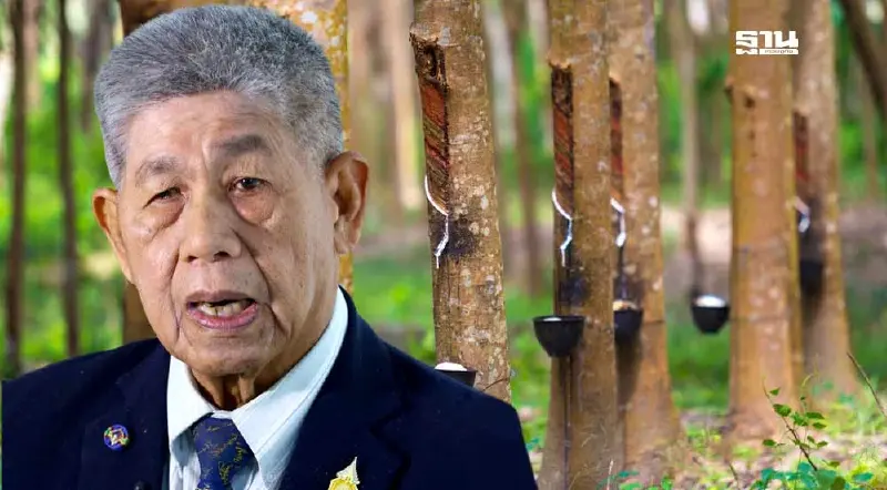 จับตา วันนี้ “นฤมล”งัด พรบ.ควบคุมยาง ดัดหลังพ่อค้ากดราคาเอาเปรียบชาวสวน