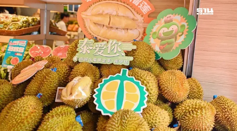 ไทย-จีน จับมือผุดแคมเปญ 4 กลยุทธ์ ดันส่งออกทุเรียนไปตลาดจีน