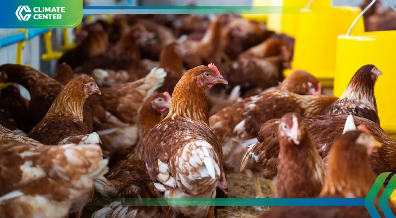 CPF เปิดตัว ฟาร์มไก่ไข่ต้นแบบใช้พลังงานสะอาด 100 % หนุน Net Zero CPF เปิดตัว ฟาร์มไก่ไข่ต้นแบบใช้พลังงานสะอาด 100 % หนุน Net Zero