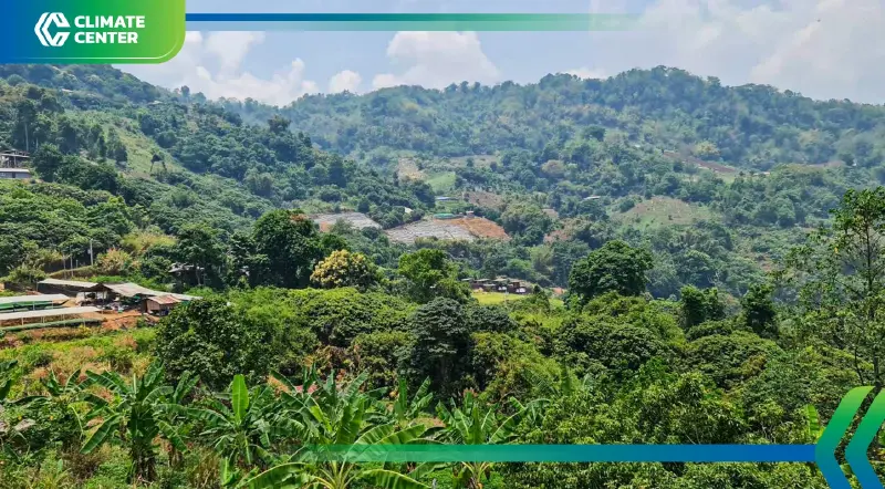 PES กลไกเศรษฐกิจรักษาป่า-ลดเผา ผู้รับประโยชน์จ่ายคืนธรรมชาติ PES กลไกเศรษฐกิจรักษาป่า-ลดเผา ผู้รับประโยชน์จ่ายคืนธรรมชาติ