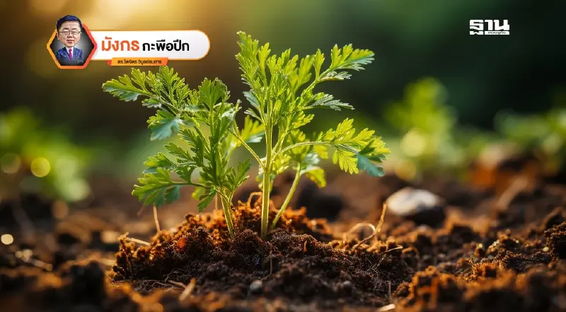 จีนเพิ่มผลิตภาพการเกษตร ด้วยเทคโนโลยีการเพาะเมล็ดพันธุ์ (4)