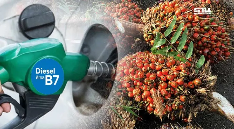 ชาวสวนเฮ "พาณิชย์" ทุบโต๊ะปรับดีเซล B5 เป็น B7 เตรียมชง กนป. 8 พ.ค.แก้ราคาปาล์มตก